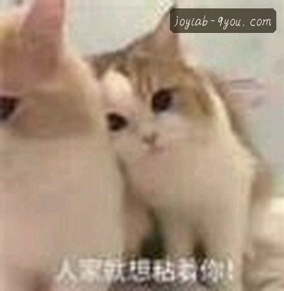 陈浩